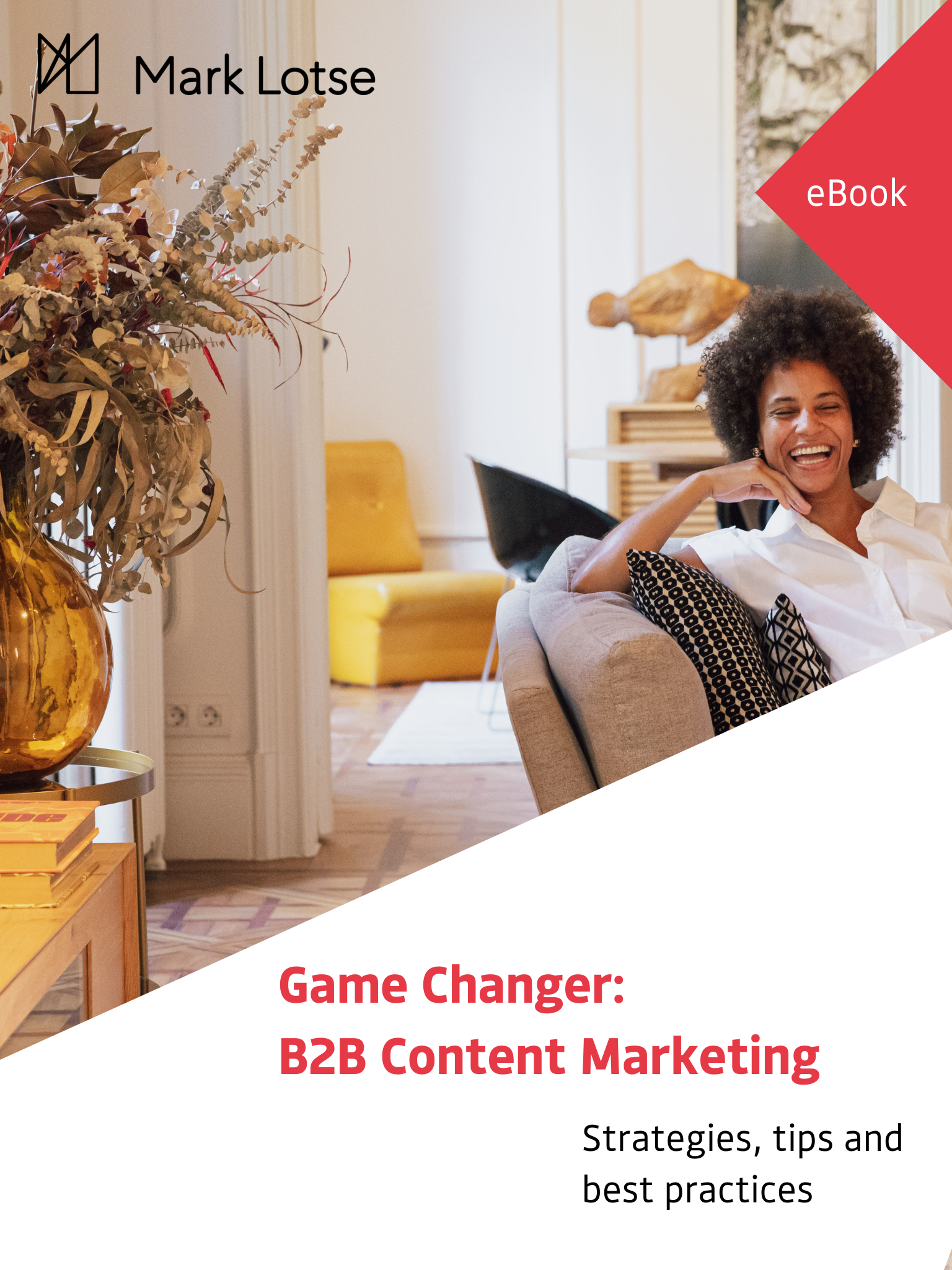 eBook B2B content marketing 