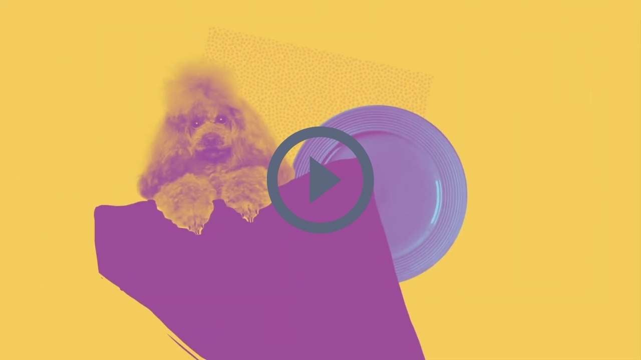 fiducia-recruiting
