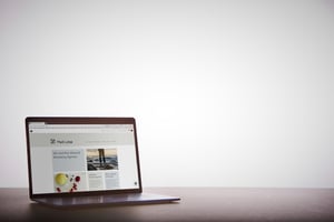 Website-Mark-Lotse
